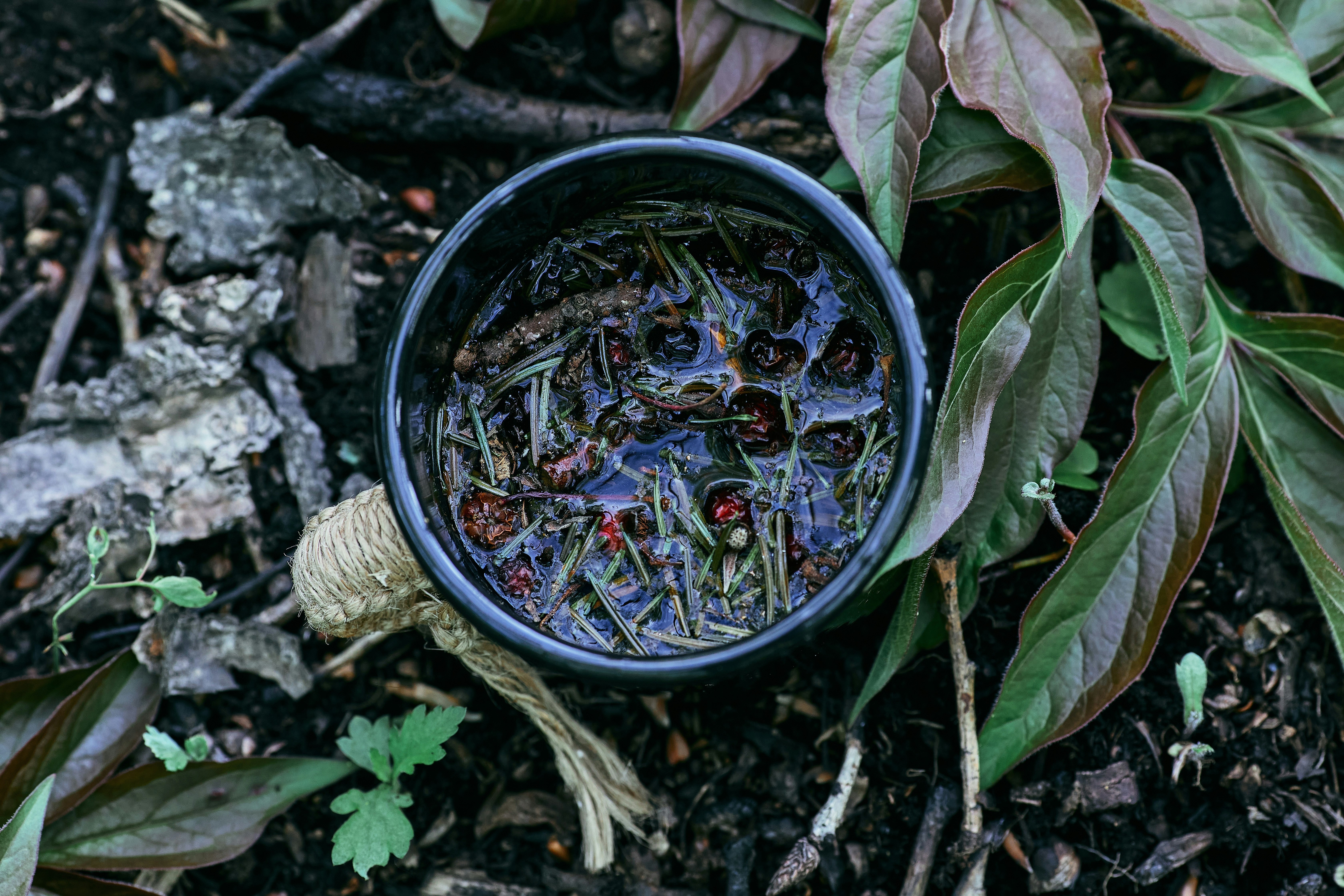 green plant on black round pot